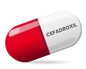 Cefadroxil