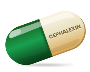 Cephalexin